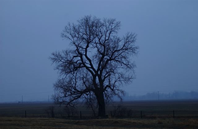 ssdsc_0015.jpg