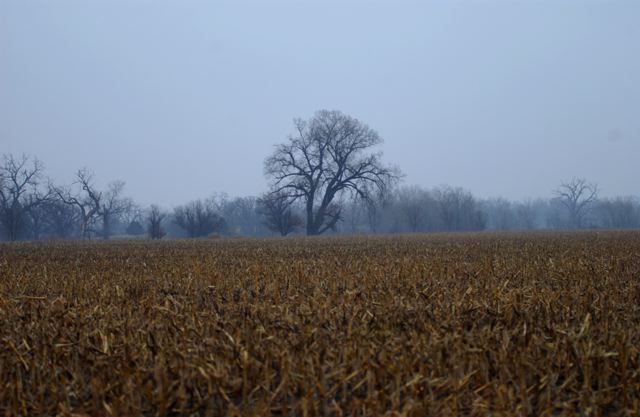 ssdsc_0021.jpg