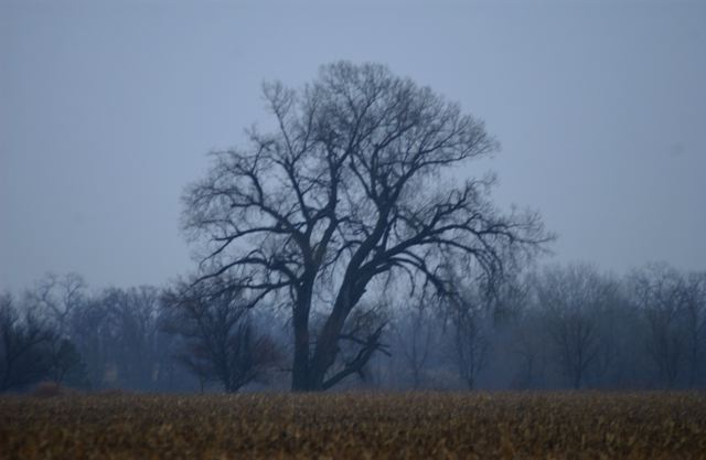 ssdsc_0022.jpg