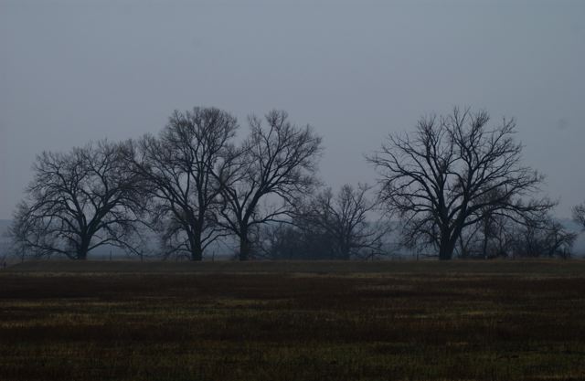 ssdsc_0027.jpg