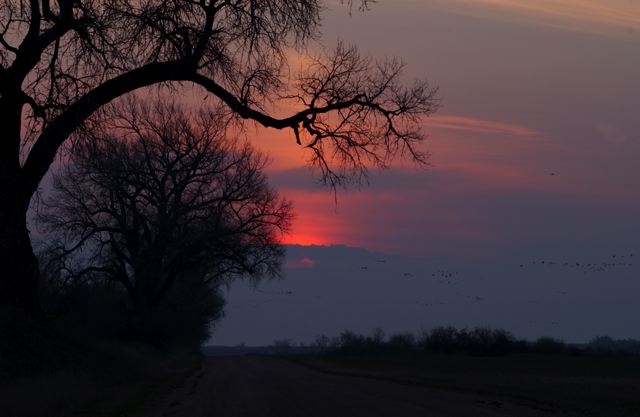 ssdsc_0029.jpg