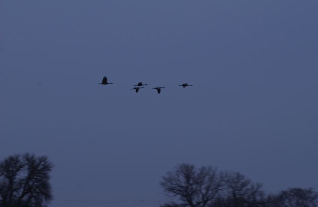 ssdsc_0043.jpg