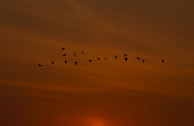 ssdsc_0094.jpg