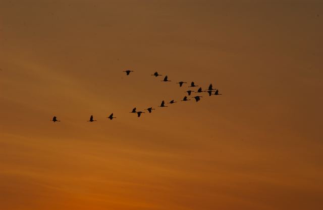 ssdsc_0099.jpg