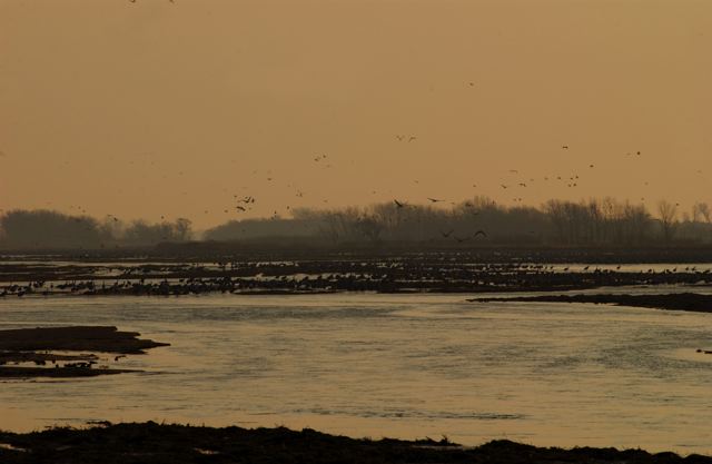 ssdsc_0144.jpg