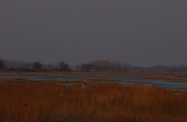 ssdsc_0152.jpg