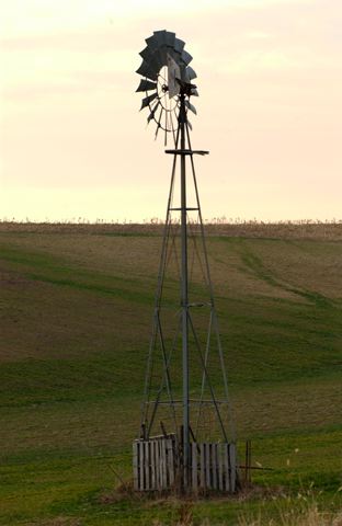 ssdsc_0179.jpg