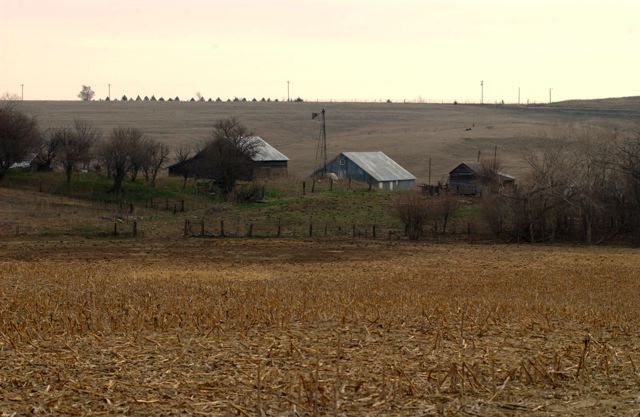 ssdsc_0182.jpg