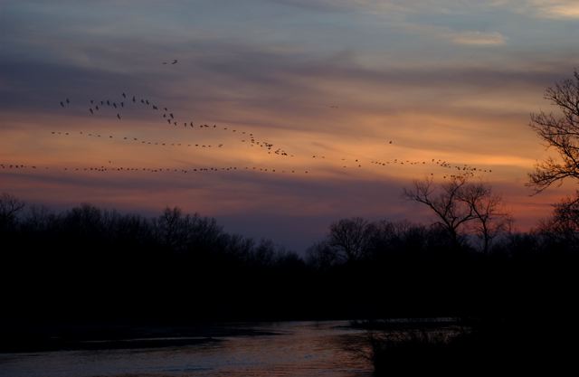 ssdsc_0196.jpg