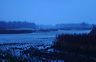 ssdsc_0009
