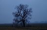 ssdsc_0015