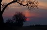 ssdsc_0024