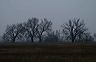 ssdsc_0027