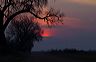 ssdsc_0029