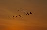 ssdsc_0099