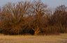 ssdsc_0175