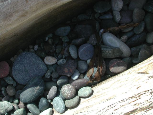 --_and_more_rocks.jpg