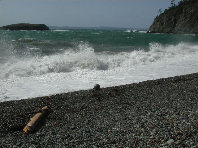 fisher_s_debris.jpg
