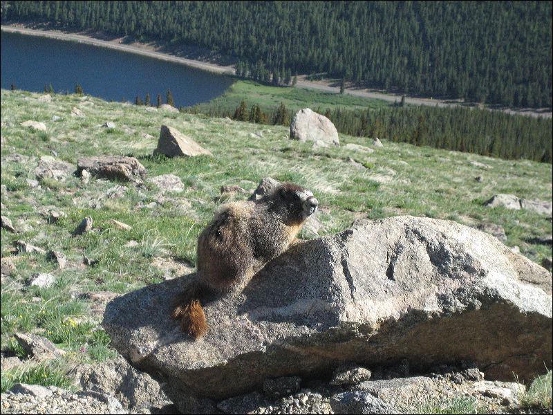 20070625_myrna_s_canon_0028.jpg