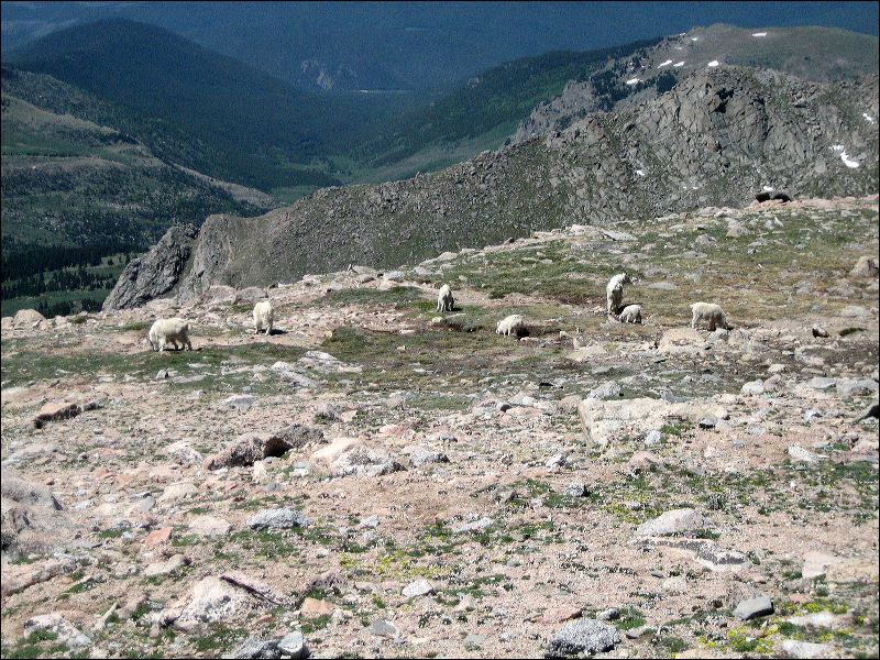 20070625_myrna_s_canon_0125.jpg