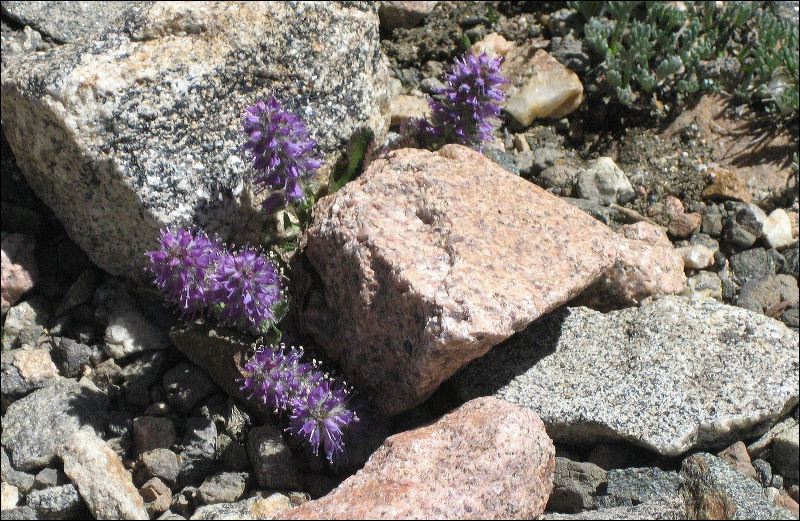 20070625_myrna_s_canon_0162.jpg