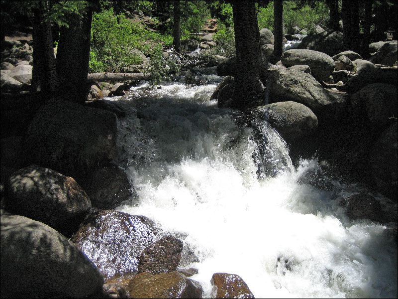 20070625_myrna_s_canon_0221.jpg