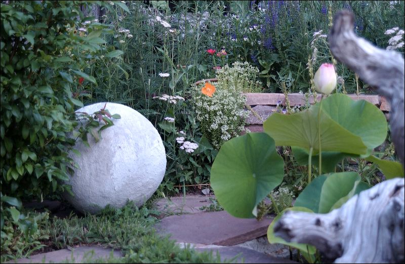 20070701_0436.orb_and_lotus.jpg