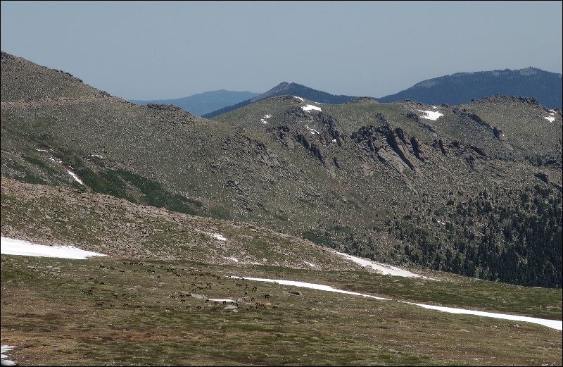 dsc_0039.jpg