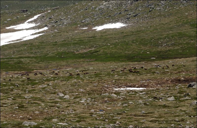 dsc_0042.jpg