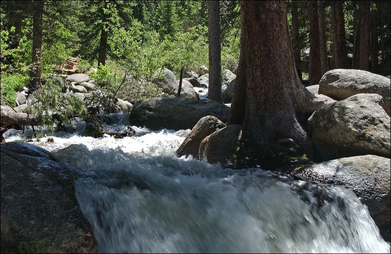 dsc_0060.jpg